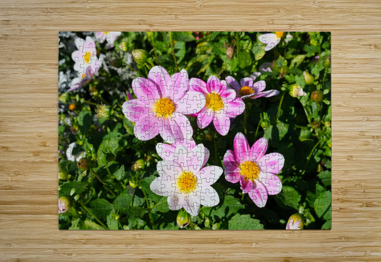 Blushing Petals  Click4Pix Puzzle printing