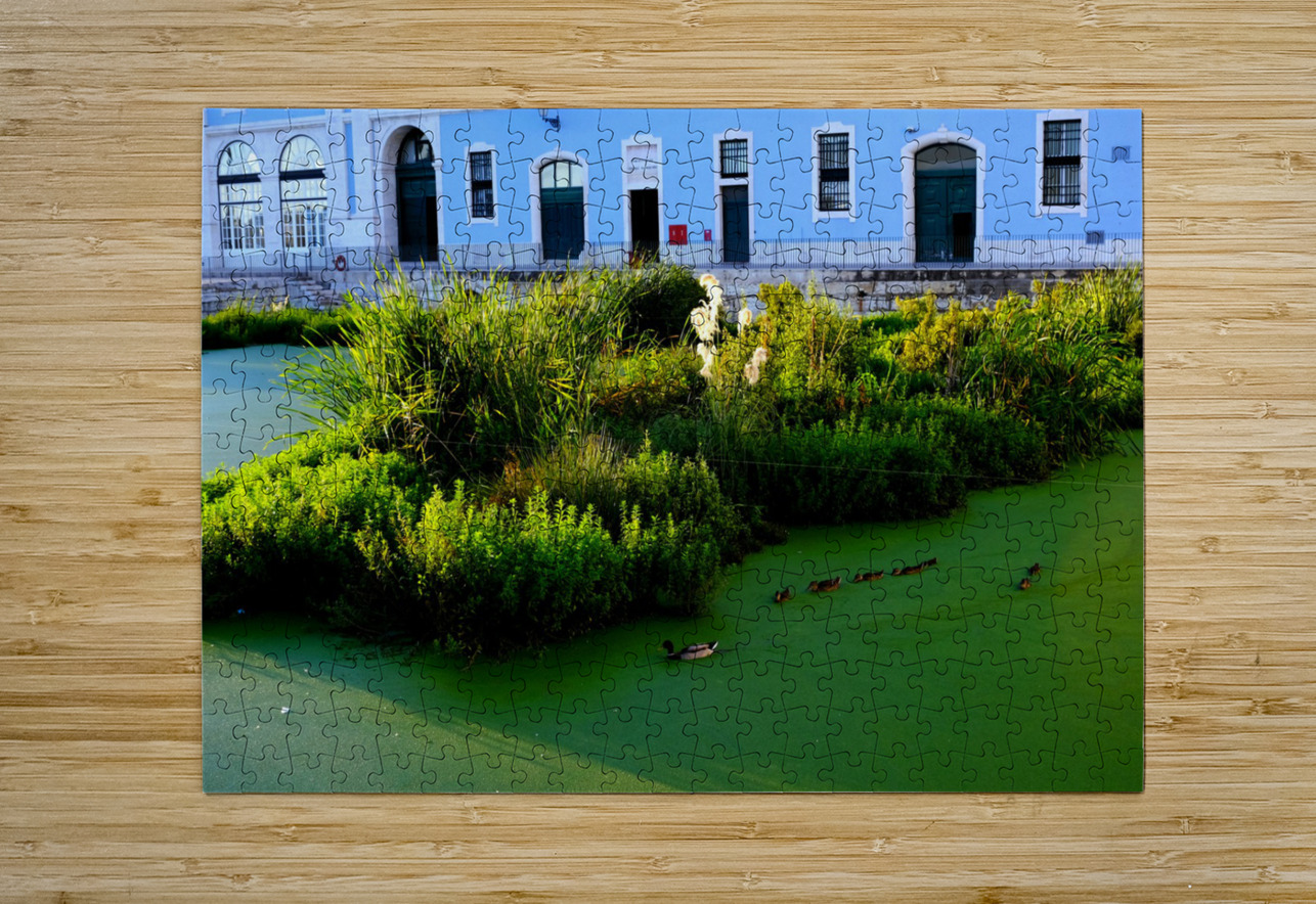 Ducking the Tourists Click4Pix Puzzle printing