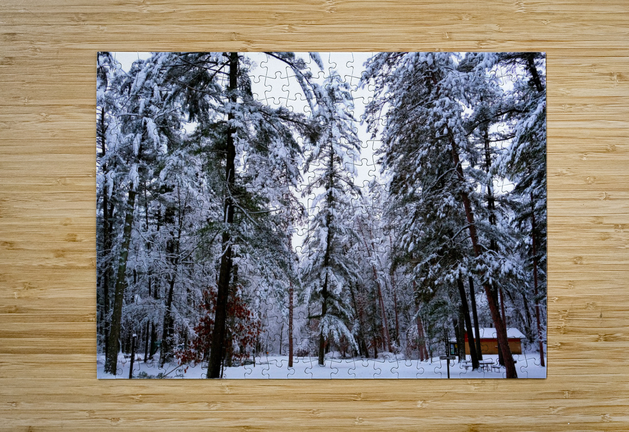 Winter Wonderland  Click4Pix Puzzle printing