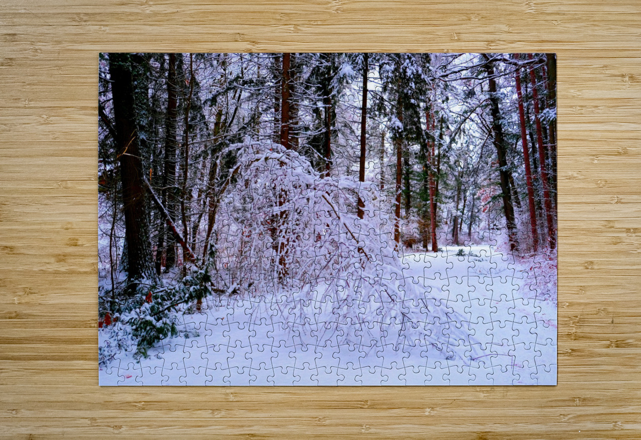 Bowing to Winter Click4Pix Puzzle printing