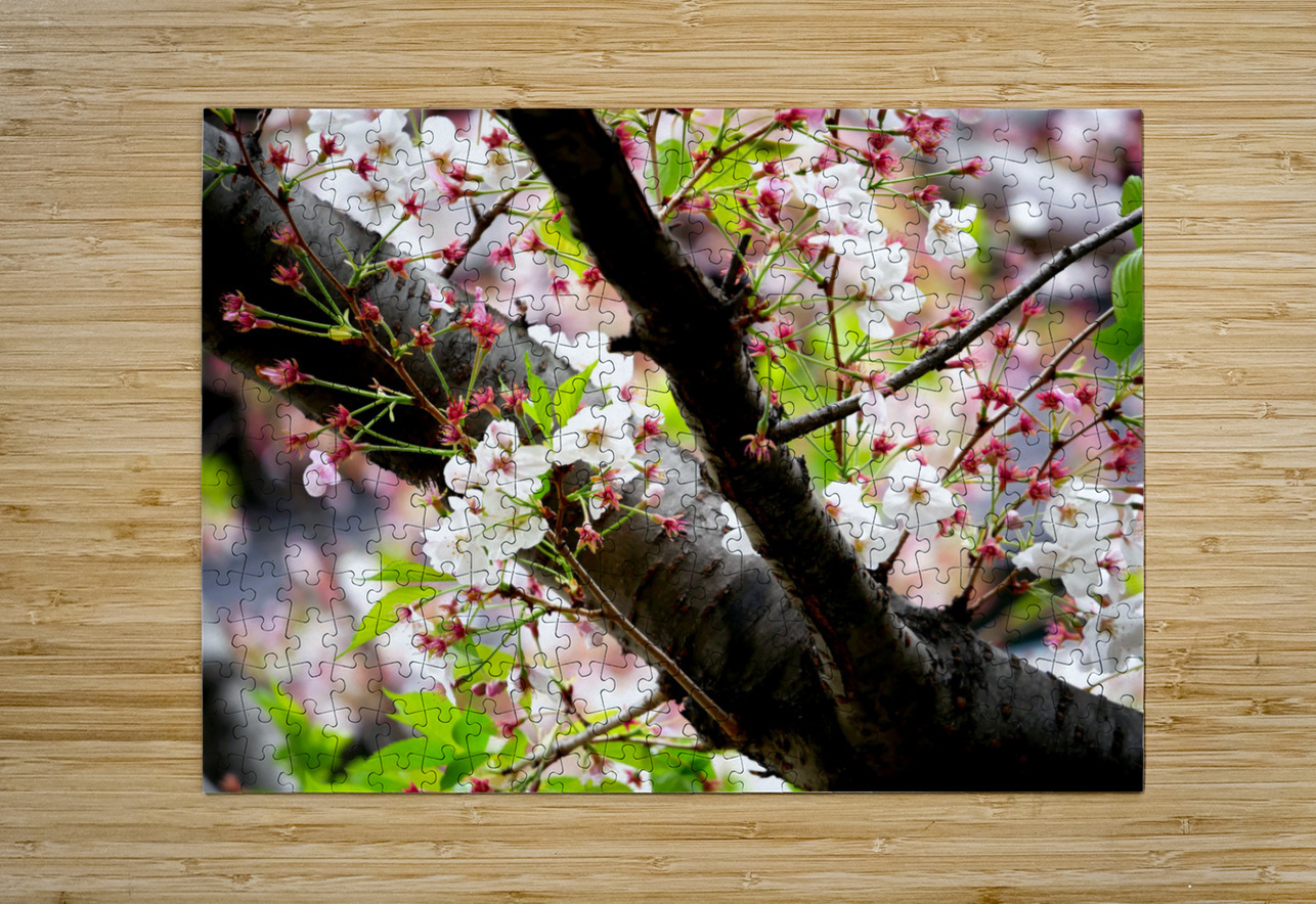 Cherry Blossom 2B Click4Pix Puzzle printing