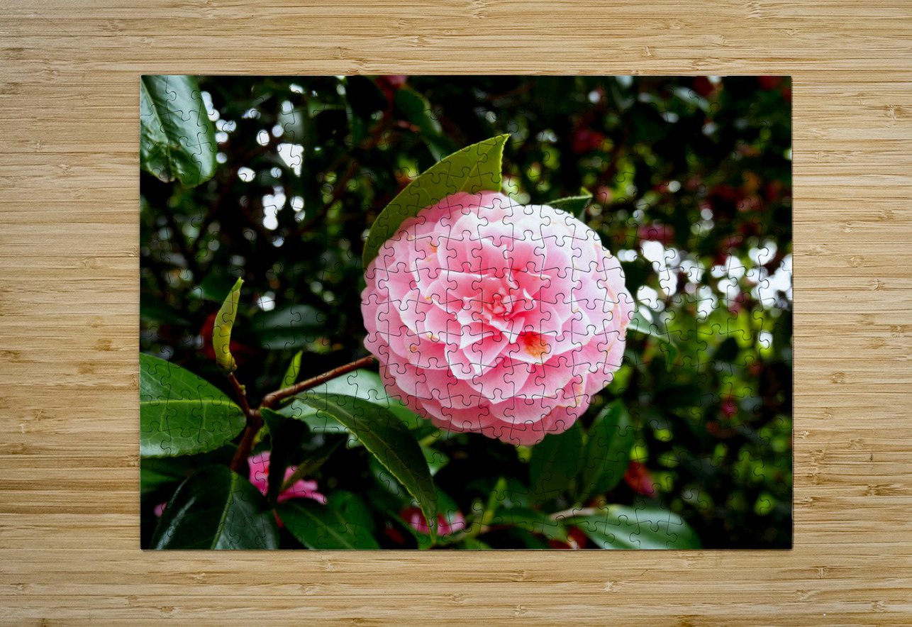 Blooms of Joy 1B Click4Pix Puzzle printing