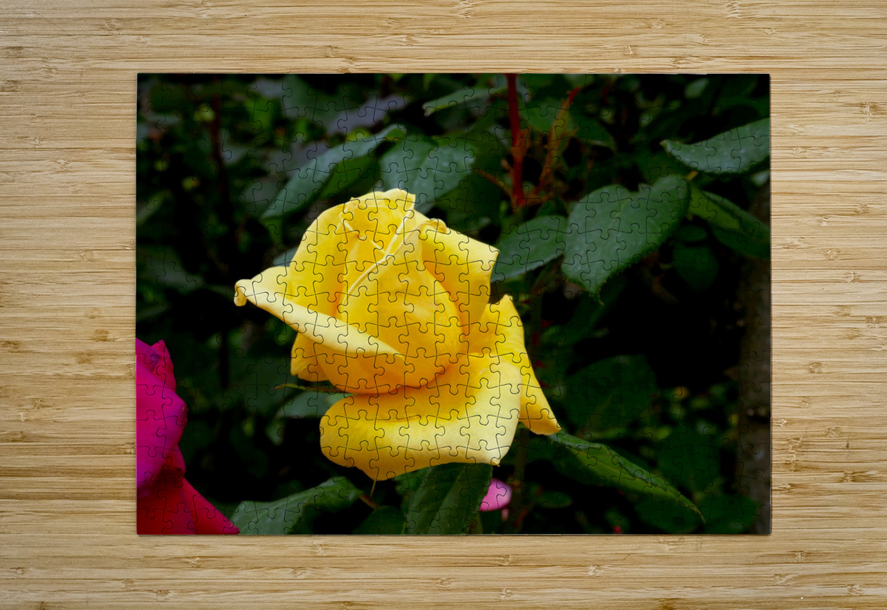 Yellow Rose Click4Pix Puzzle printing