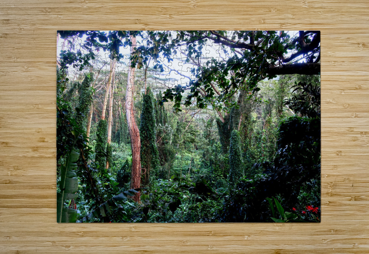 Welcome to Jurassic Park Click4Pix Puzzle printing