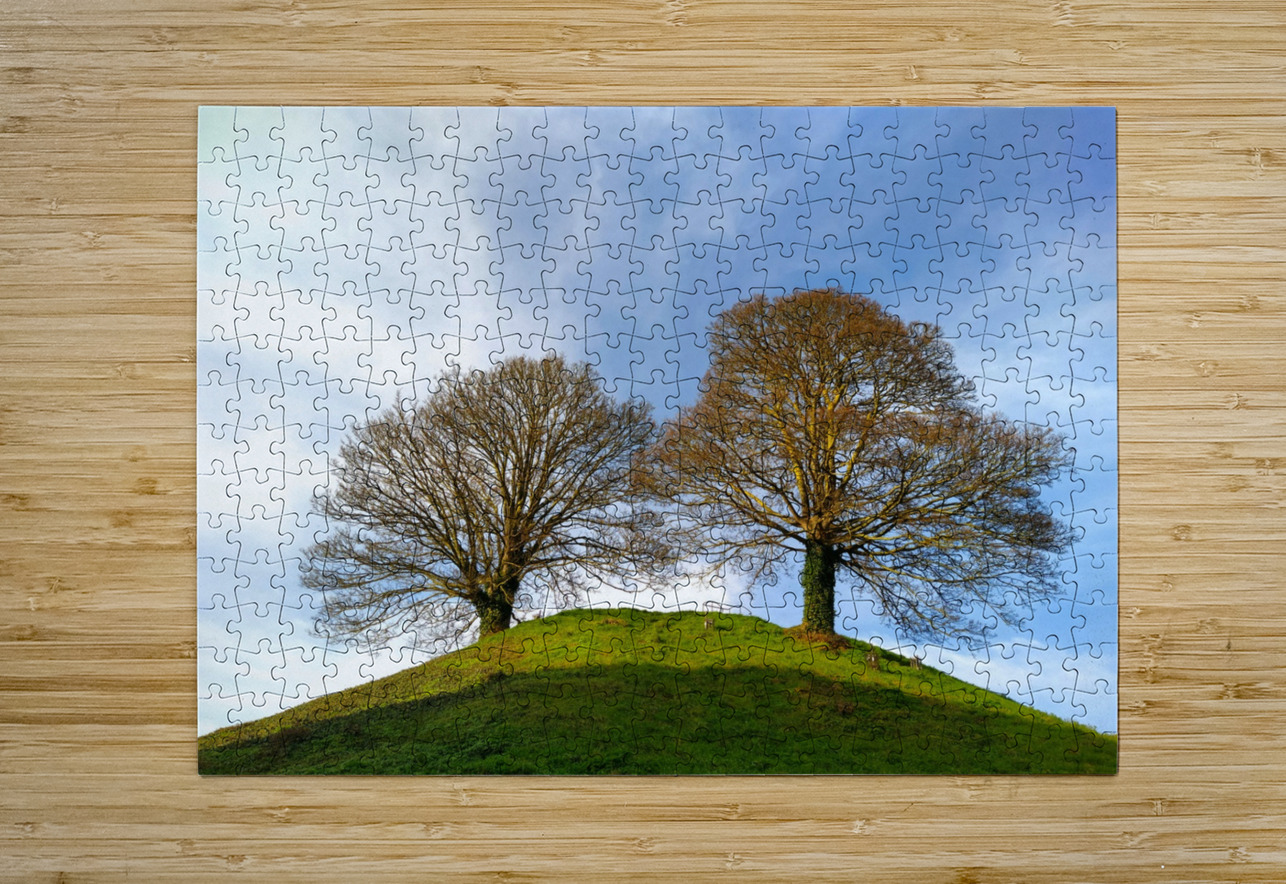 Standing Guard Click4Pix Puzzle printing