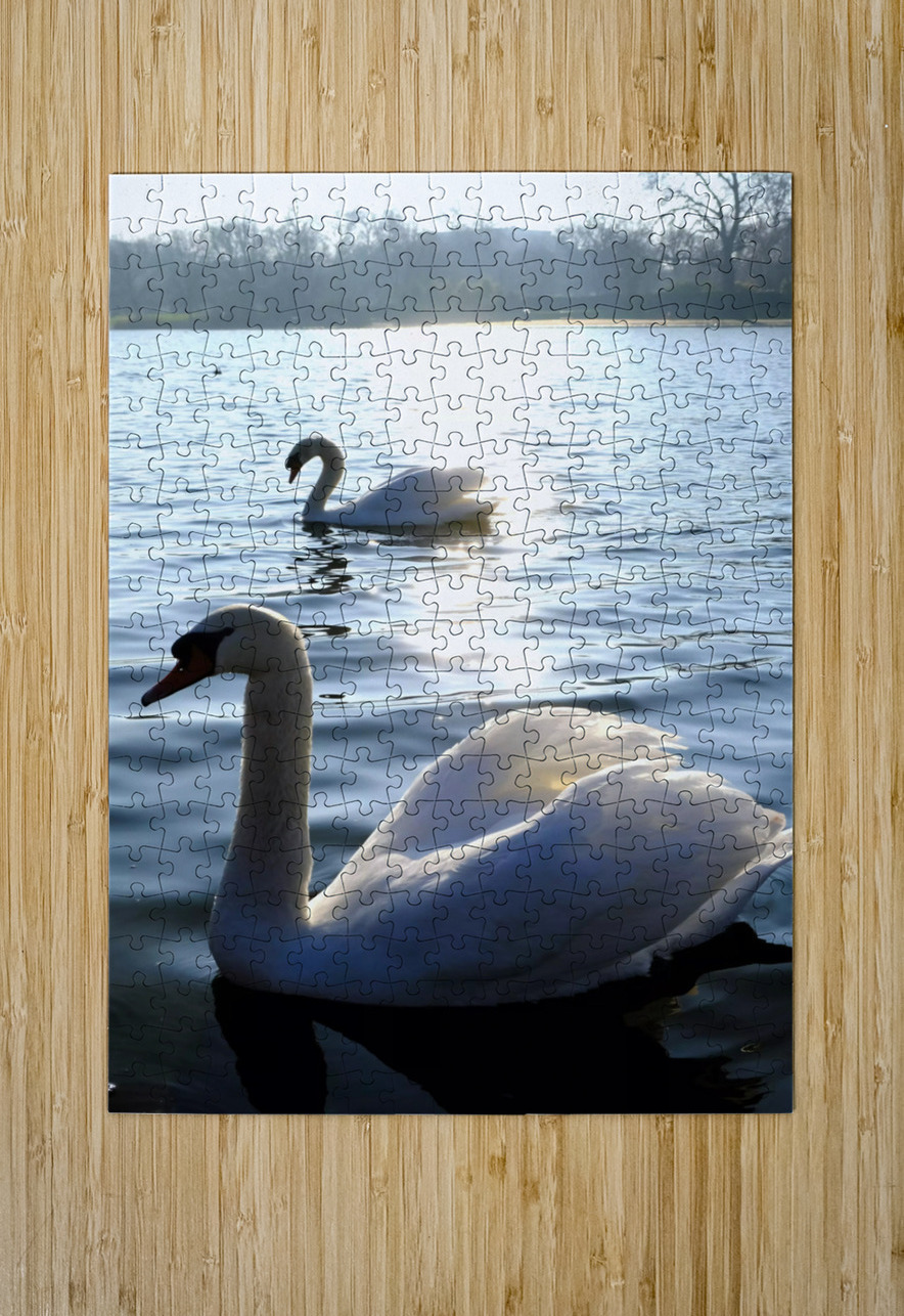 Wings of Love Pair 1B Click4Pix Puzzle printing