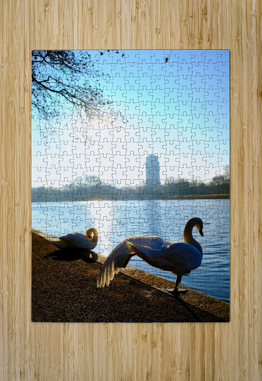 Swan Yoga Morning Stretch 2 Click4Pix Puzzle printing