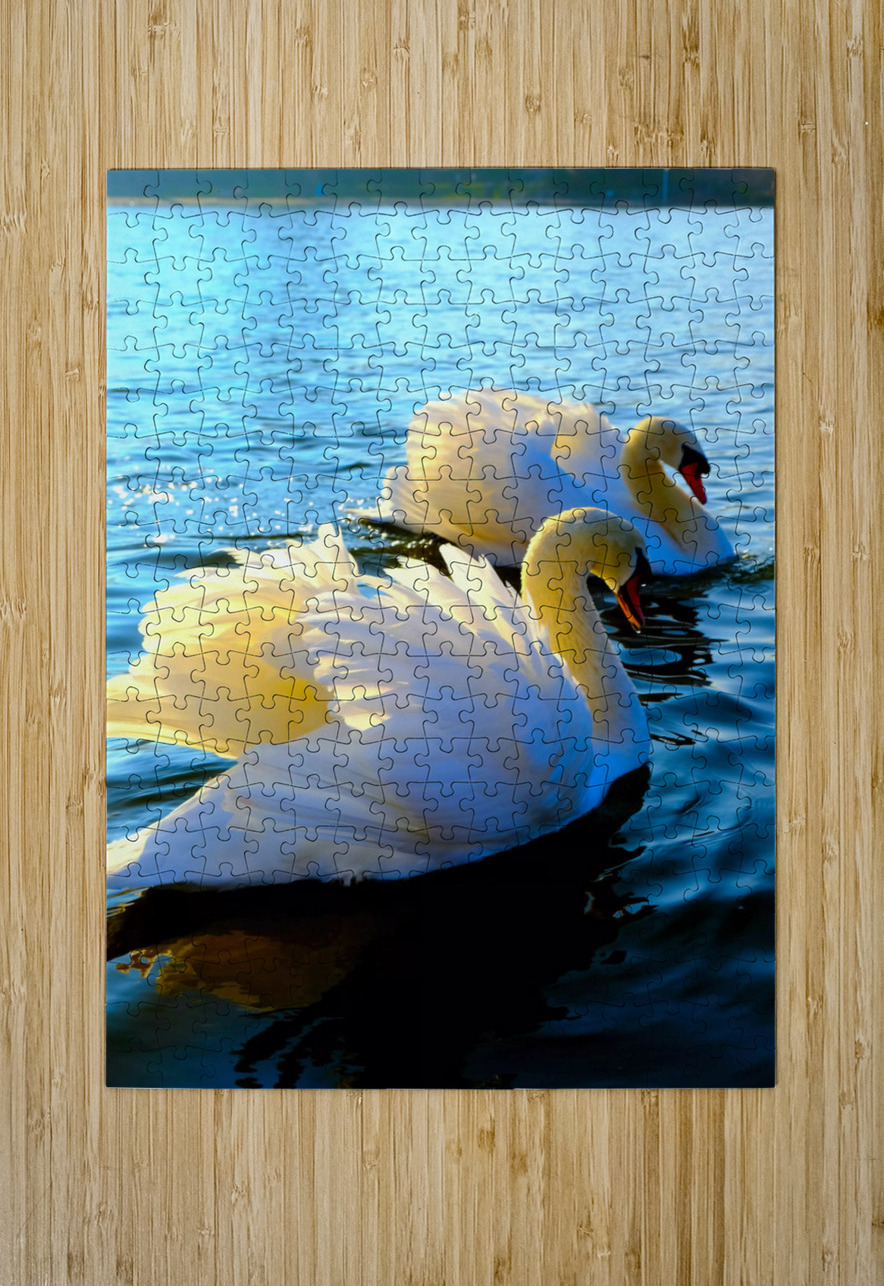 Wings of Love Pair 3 Click4Pix Puzzle printing