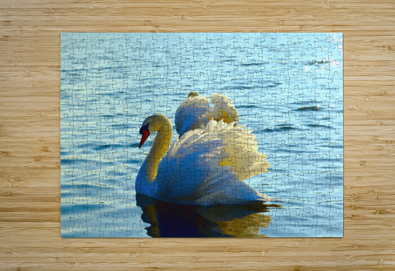 Wings of Love Pair Click4Pix Puzzle printing