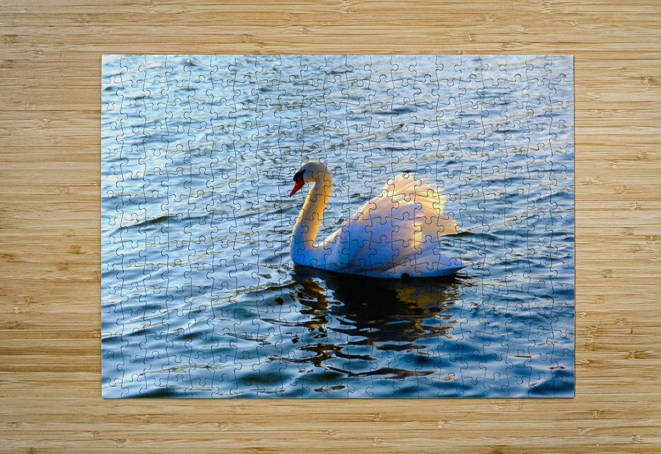 Silent Drift Click4Pix Puzzle printing