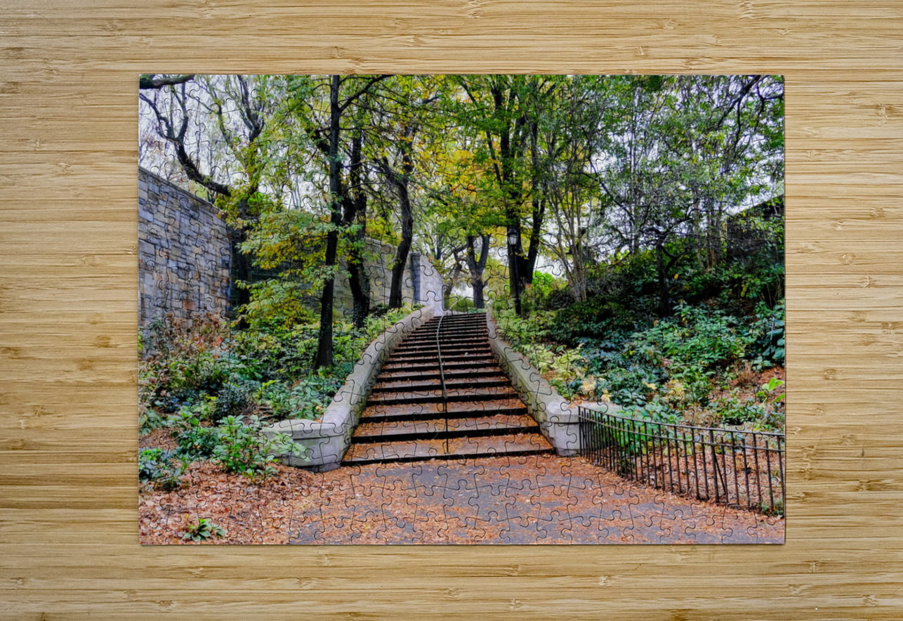 Steps to Upper West Side  Click4Pix Puzzle printing