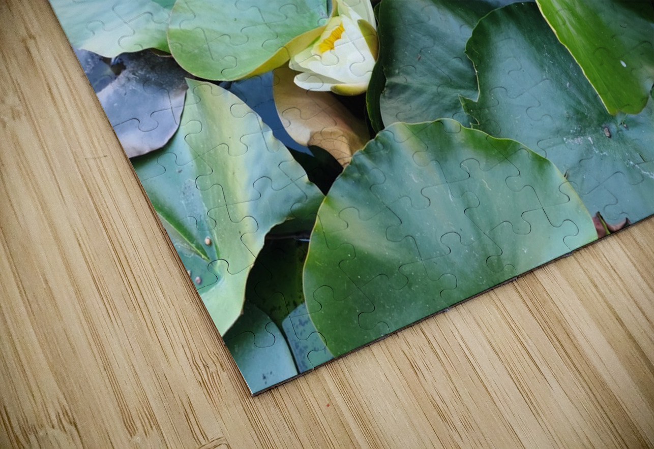 Nature’s Quiet Triumph Click4Pix Puzzle