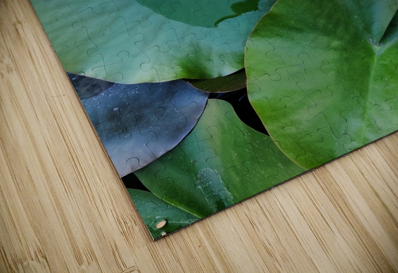 Blooms of Joy: Silence Speaks in Petals Click4Pix Puzzle