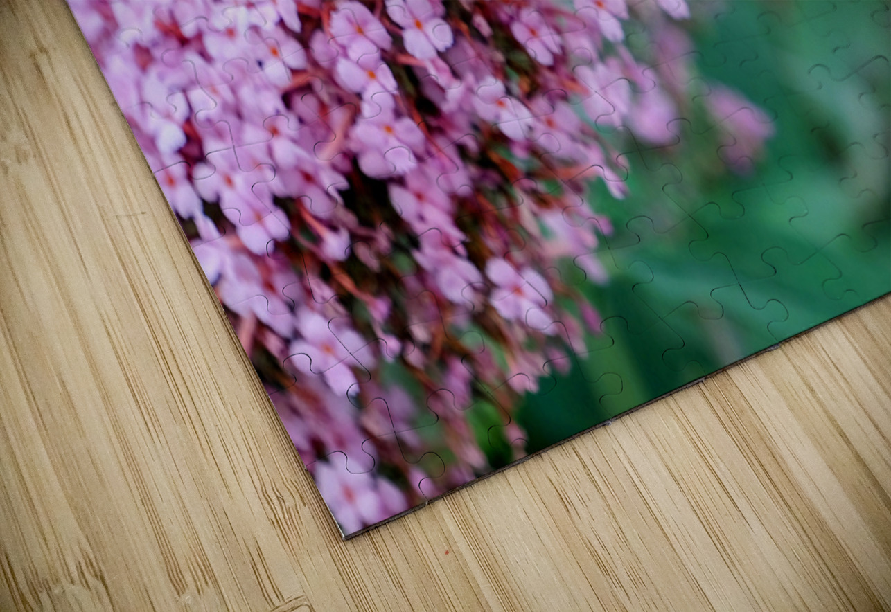 Sustaining Grace:  The Bee and the Butterfly Bush Click4Pix Puzzle