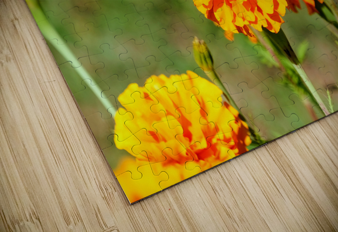 Bright Labors: Beneath the Fire of Petals Click4Pix Puzzle