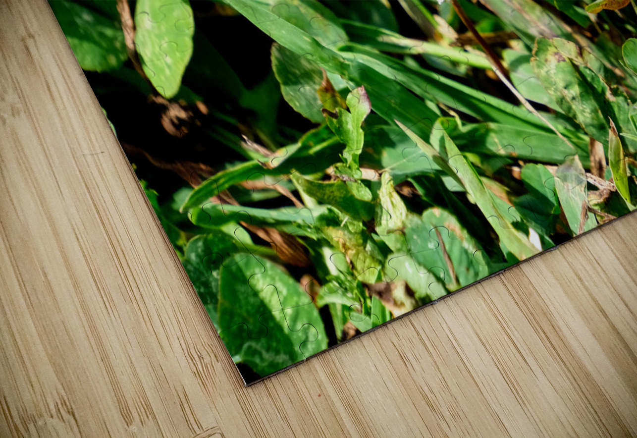 Ephemeral Spirits in Green Silence Click4Pix Puzzle