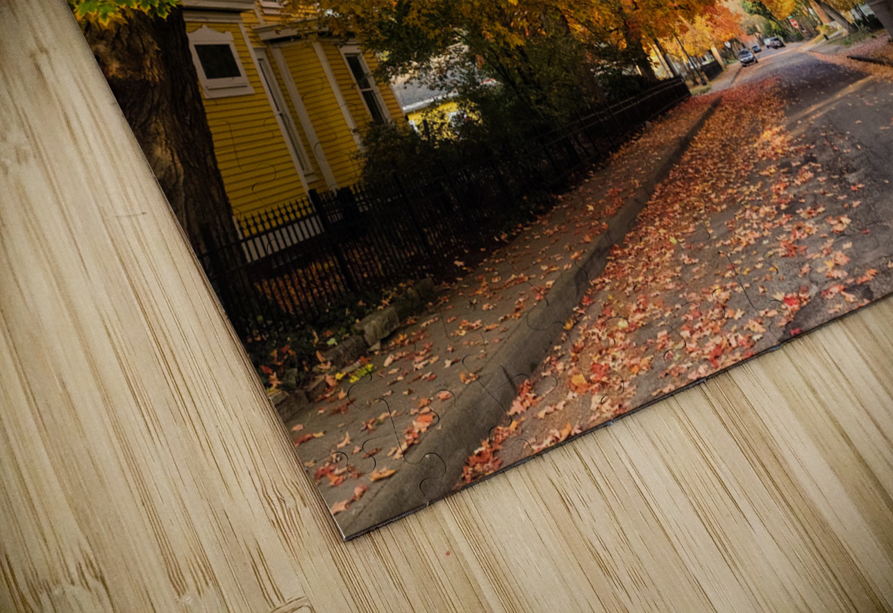 Fall Over the Road: Whispers of Fall Click4Pix Puzzle
