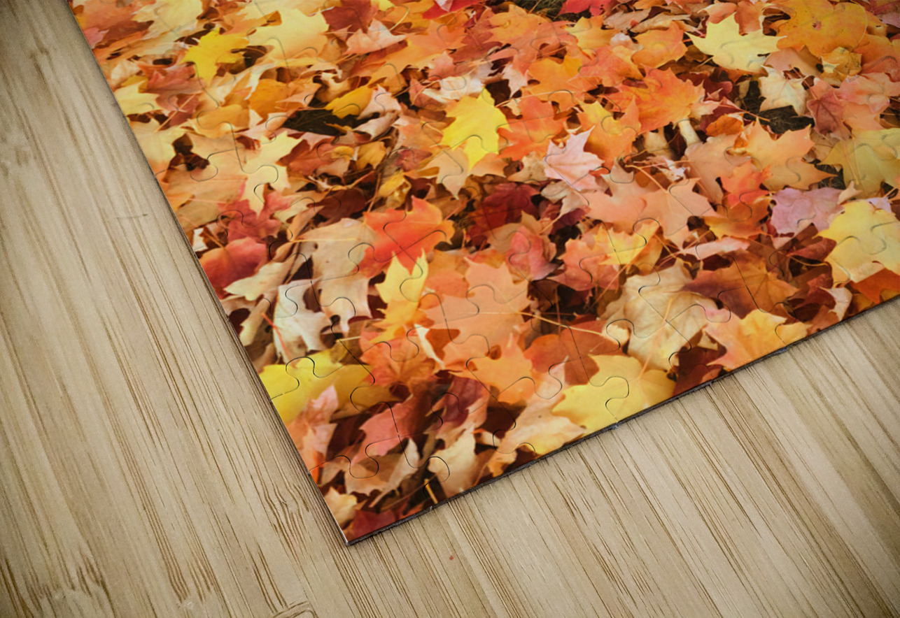 Leaves Me Stumped: Rooted in Color Click4Pix Puzzle