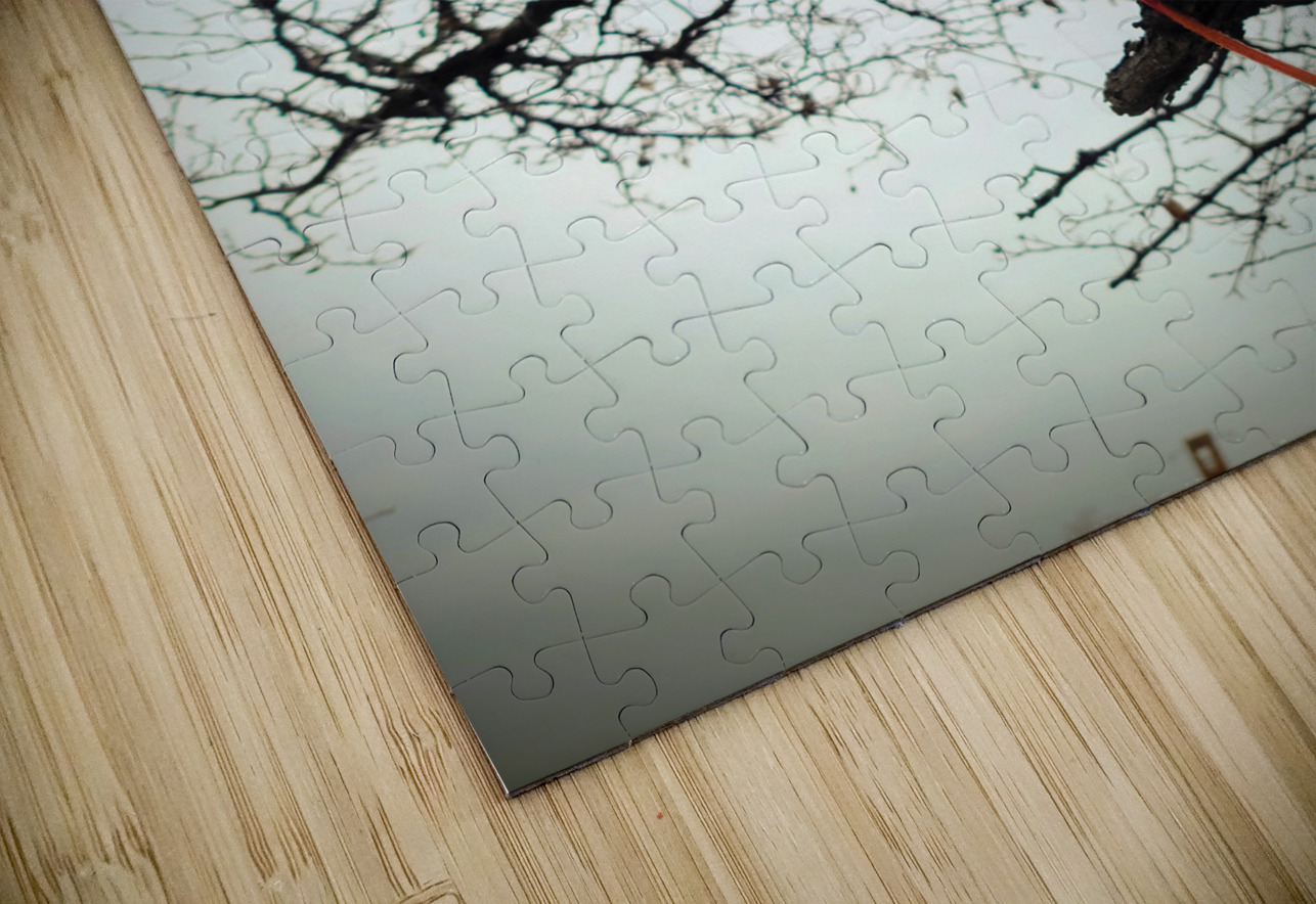 A Fallen Farewell : Defiant Ember Click4Pix Puzzle