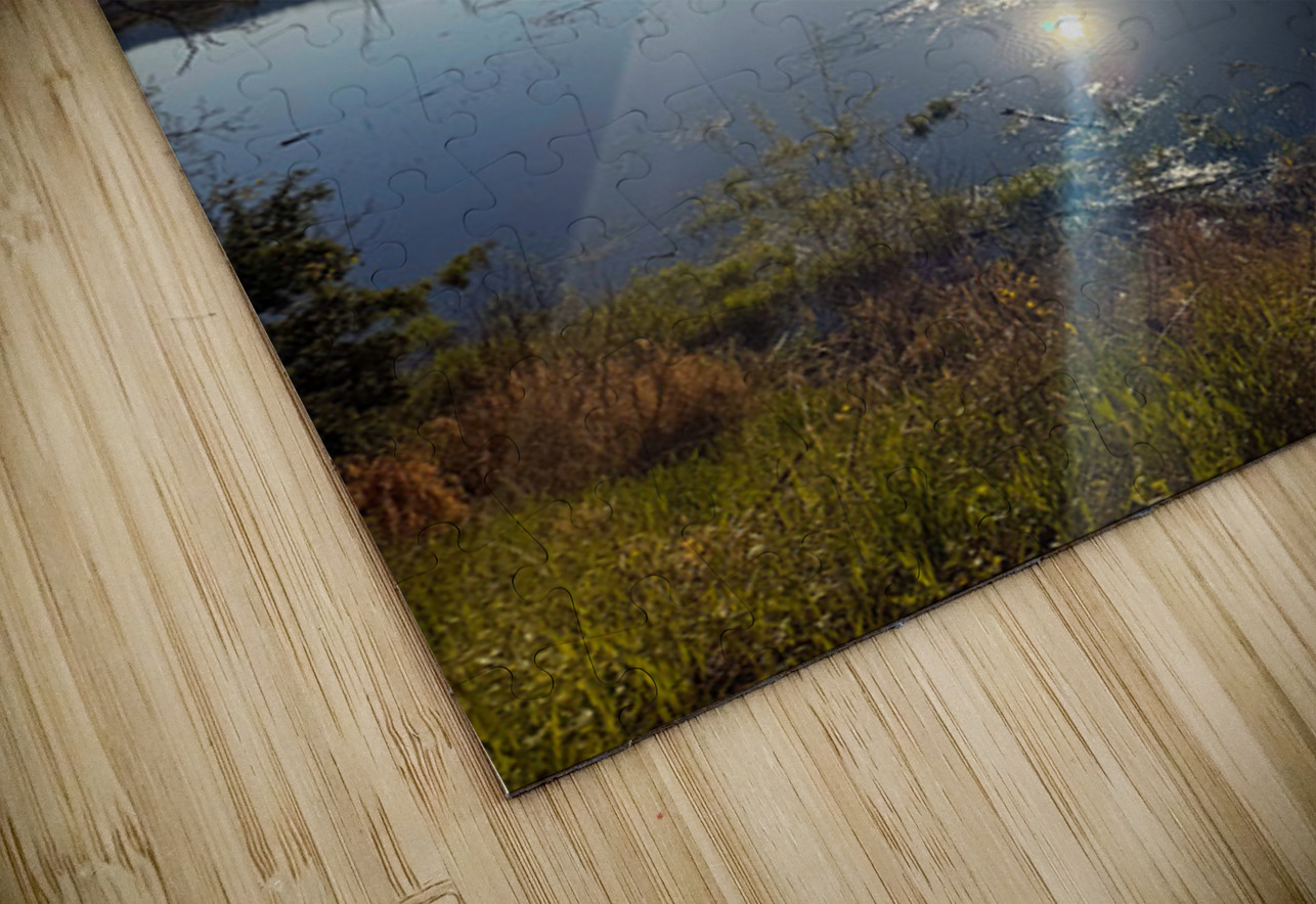 Reflections of La Crosse Click4Pix Puzzle