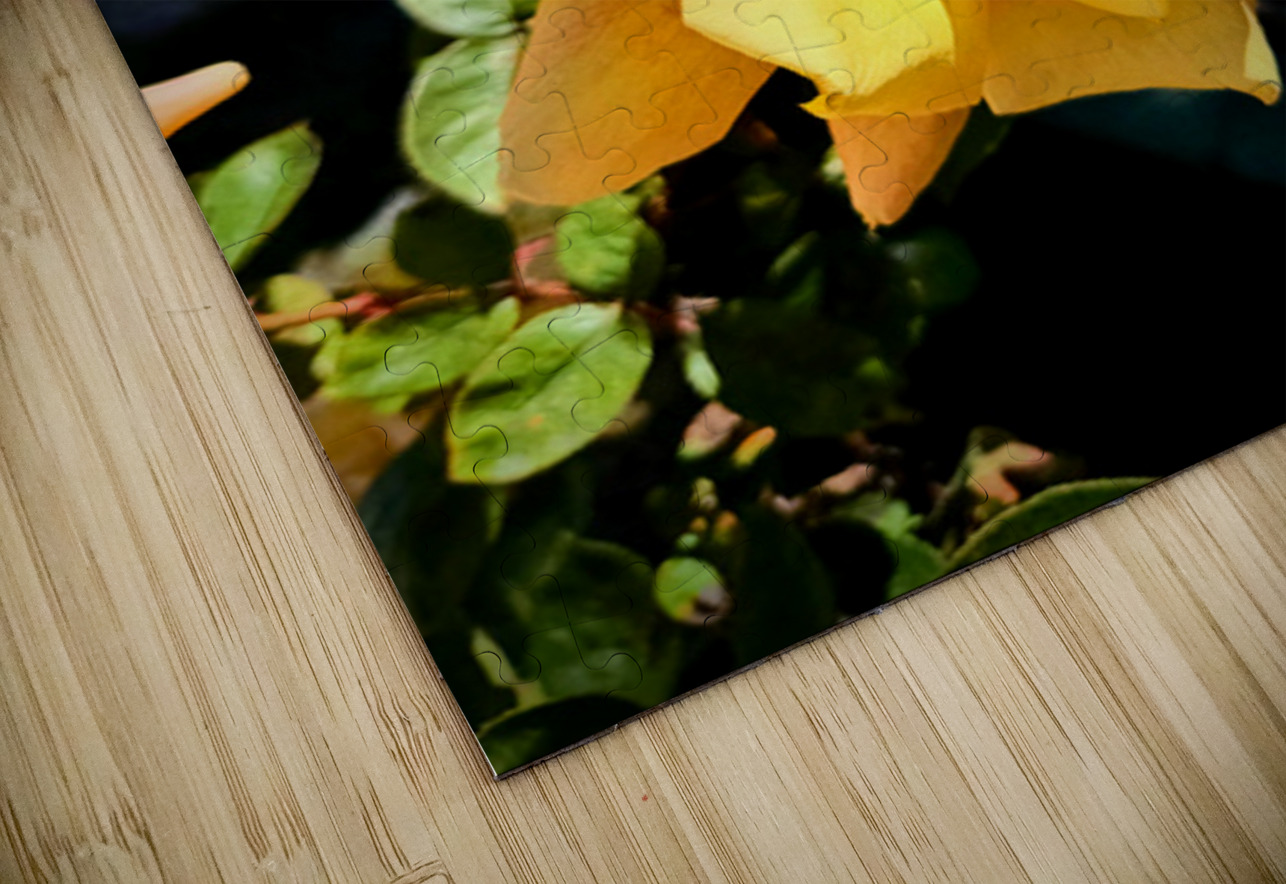 Sunwrought Yellow Rose Click4Pix Puzzle