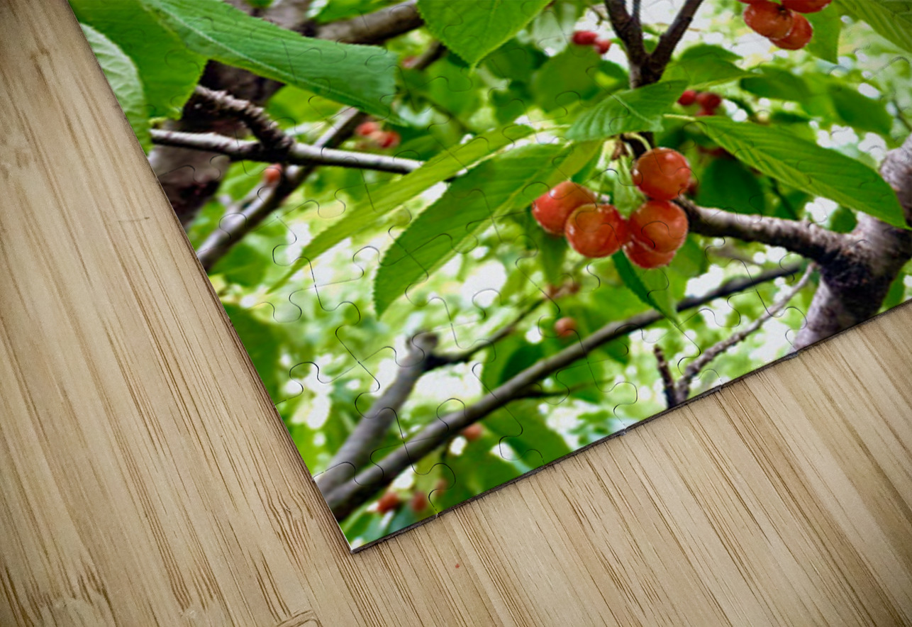 The Humble Crown of the Orchard Queen Click4Pix Puzzle