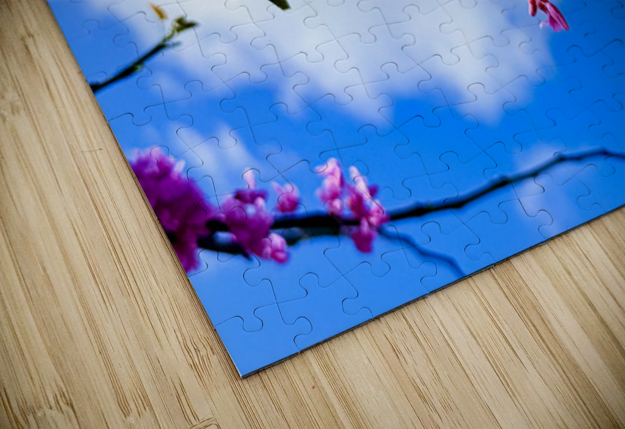 Bloom Bridge Click4Pix Puzzle