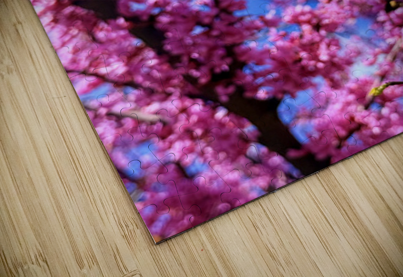 Redbud Season Click4Pix Puzzle