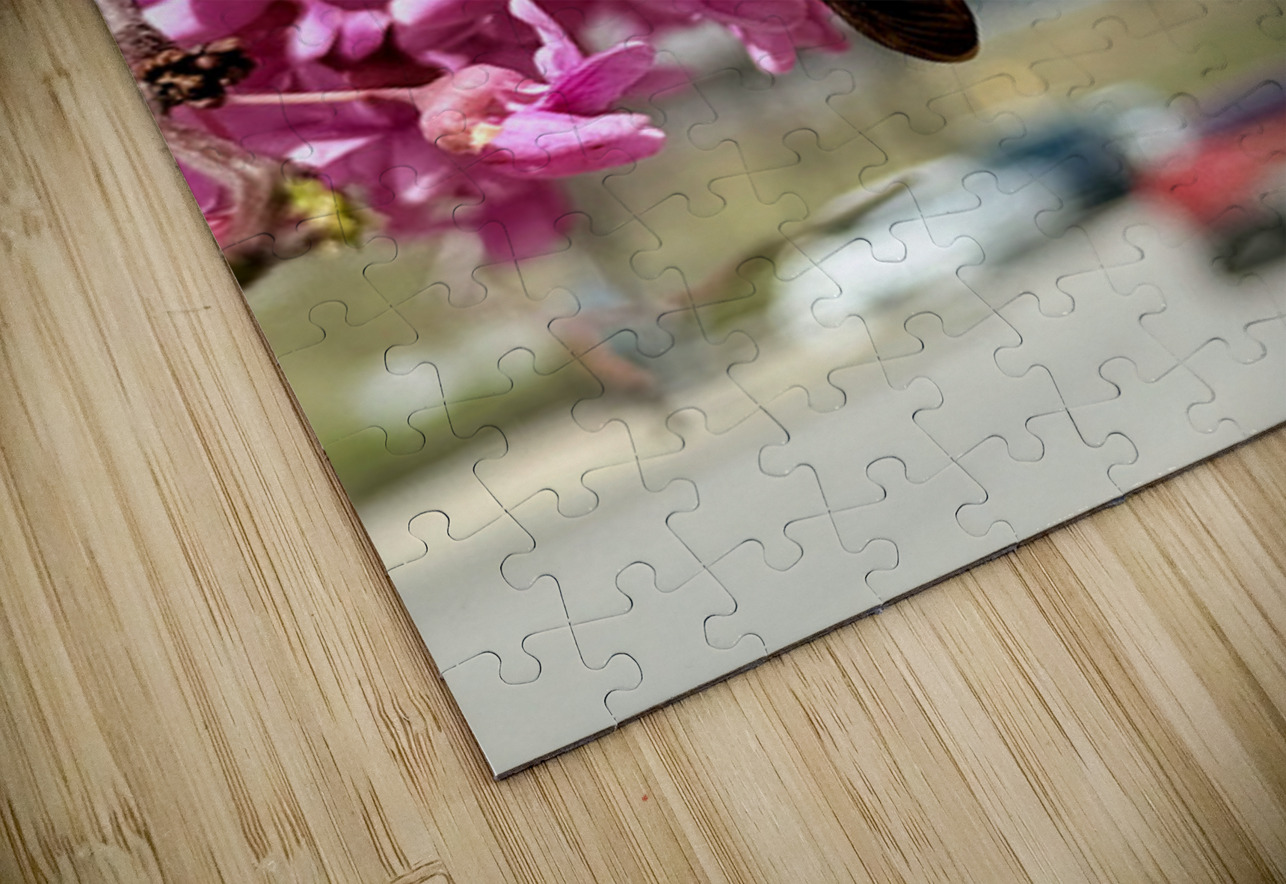 Wild at Heart Urban by Address Click4Pix Puzzle