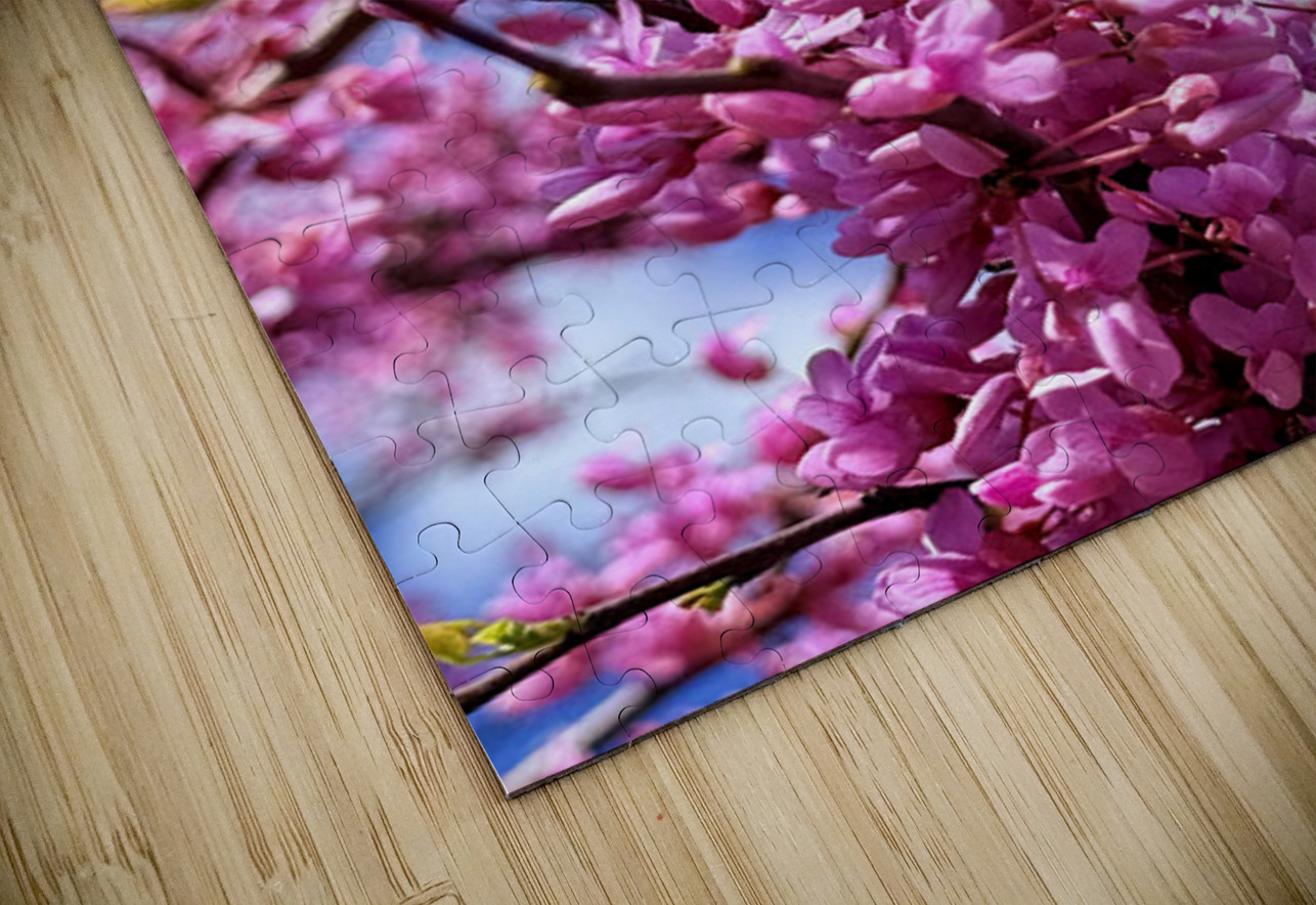 The Bloom Rider Click4Pix Puzzle