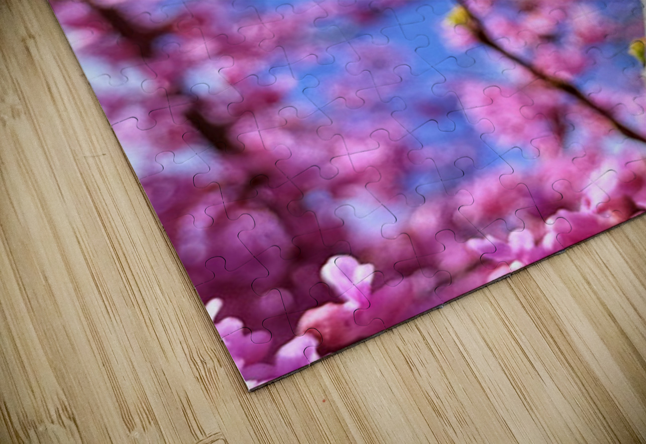 IMG 1648 Click4Pix Puzzle