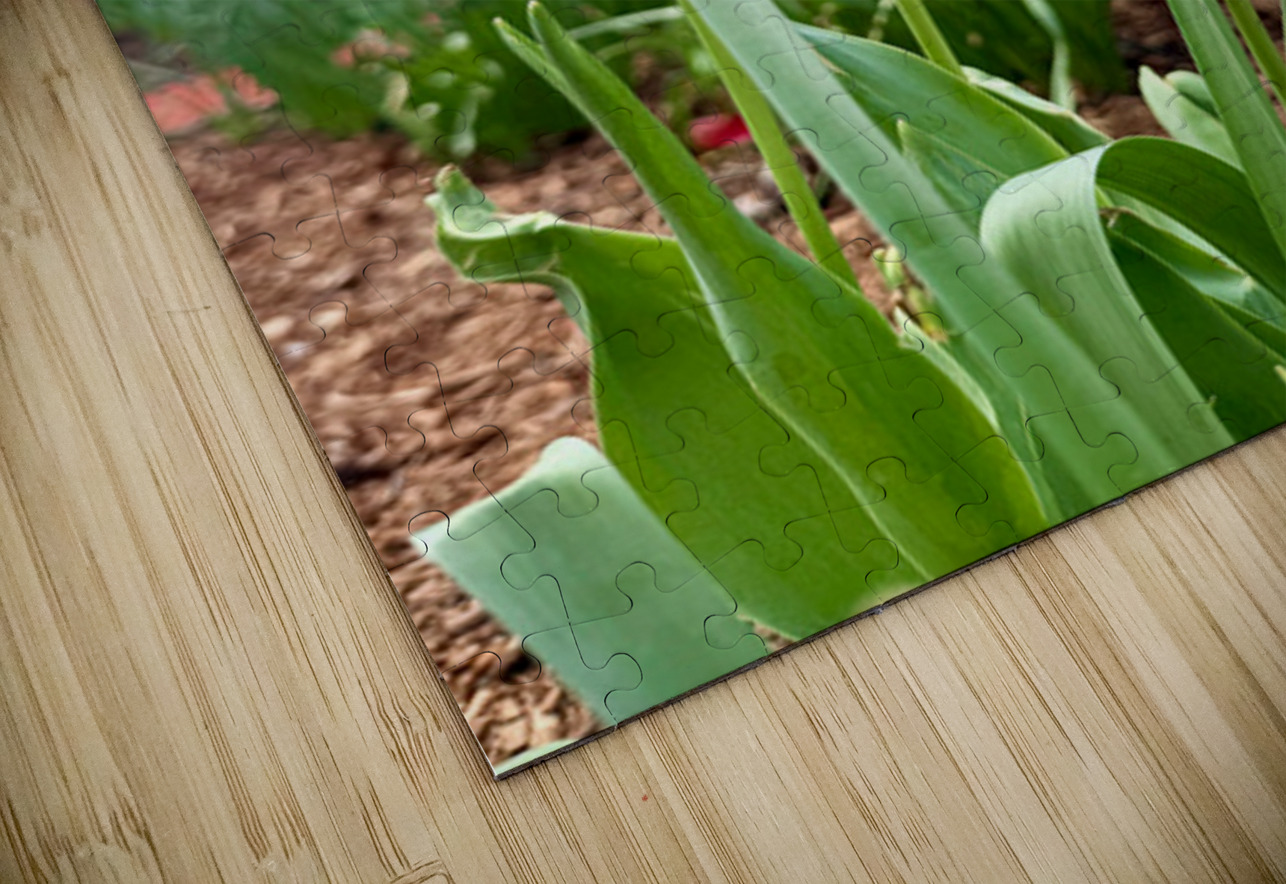 IMG 1602 Click4Pix Puzzle