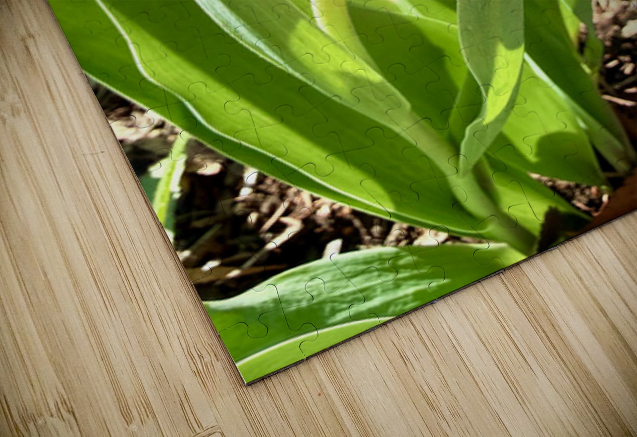 IMG 1605 Click4Pix Puzzle