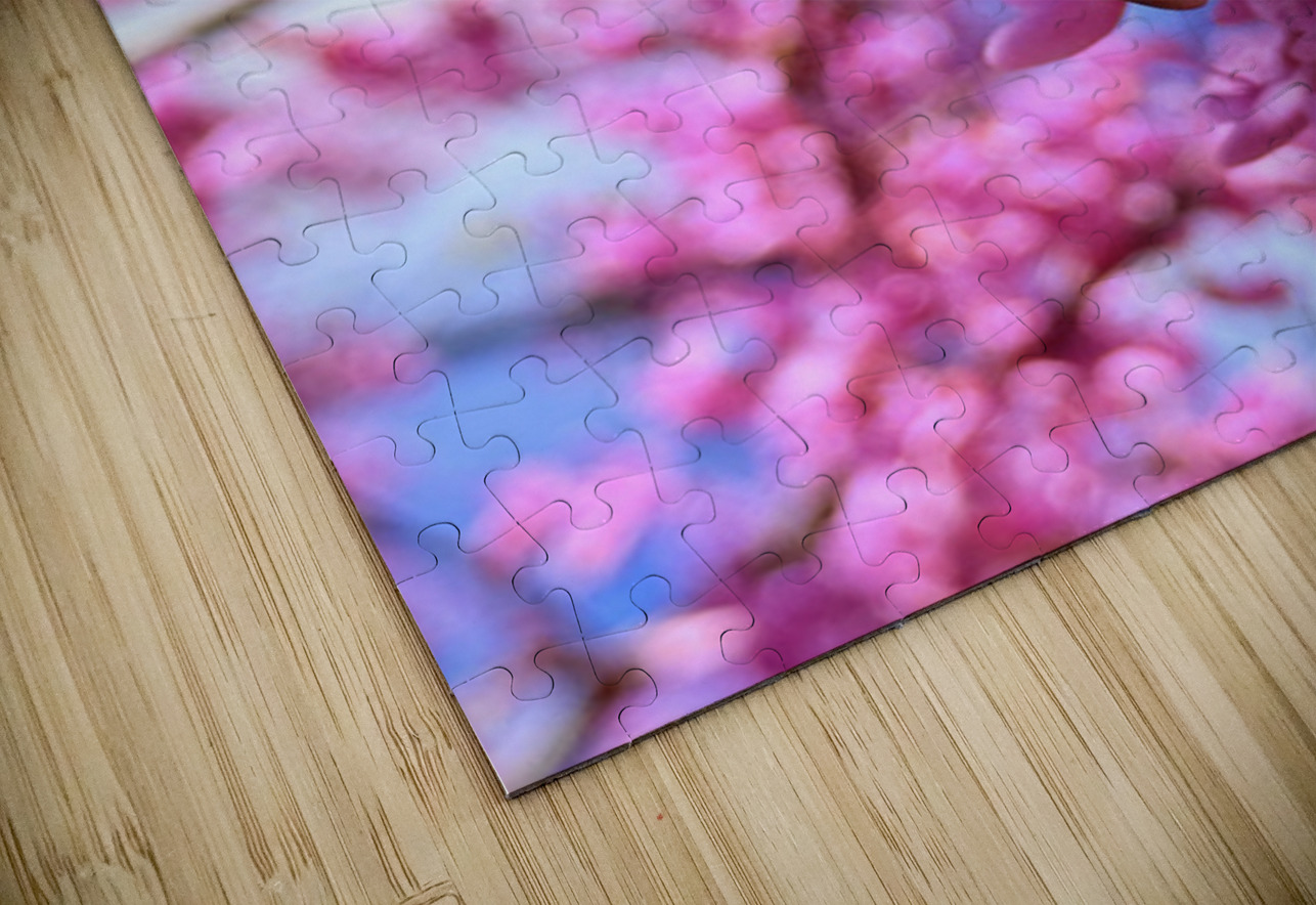 IMG 1671 Click4Pix Puzzle