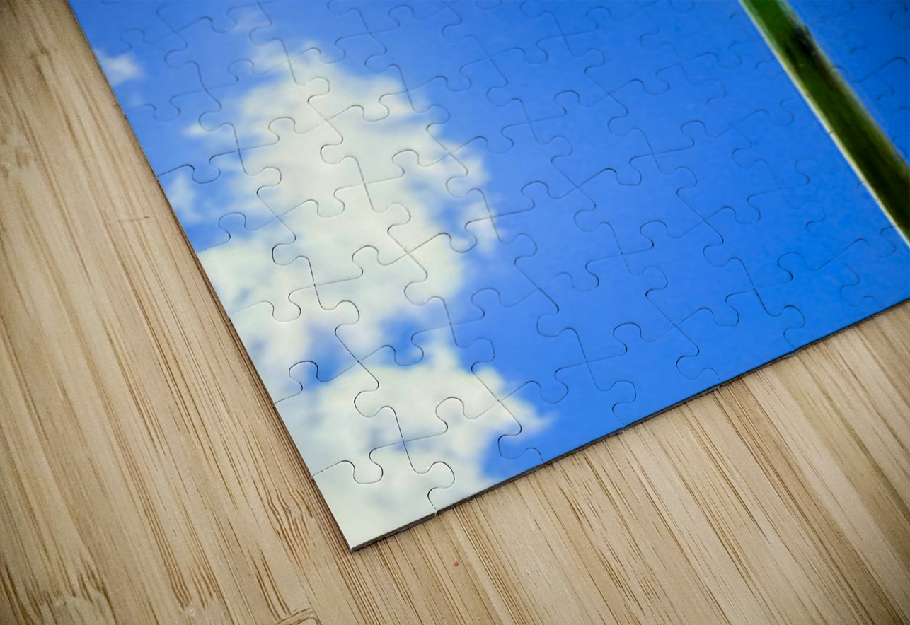 IMG 1762 Click4Pix Puzzle