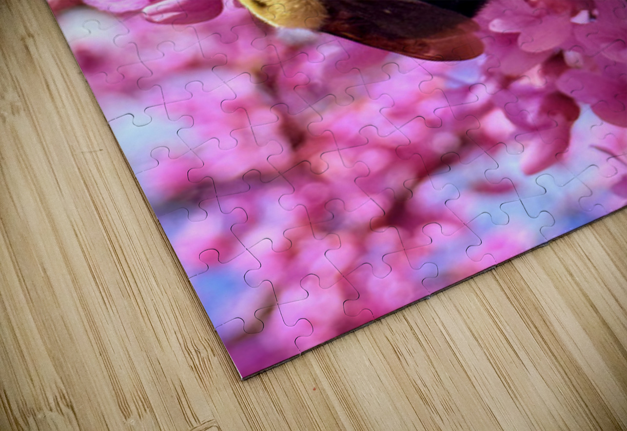 The Golden Visitor Click4Pix Puzzle