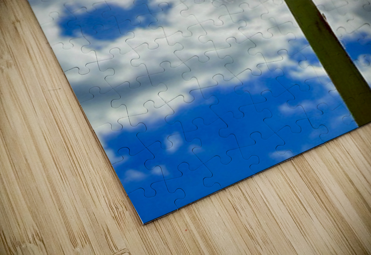 Skybound Dandelion Click4Pix Puzzle