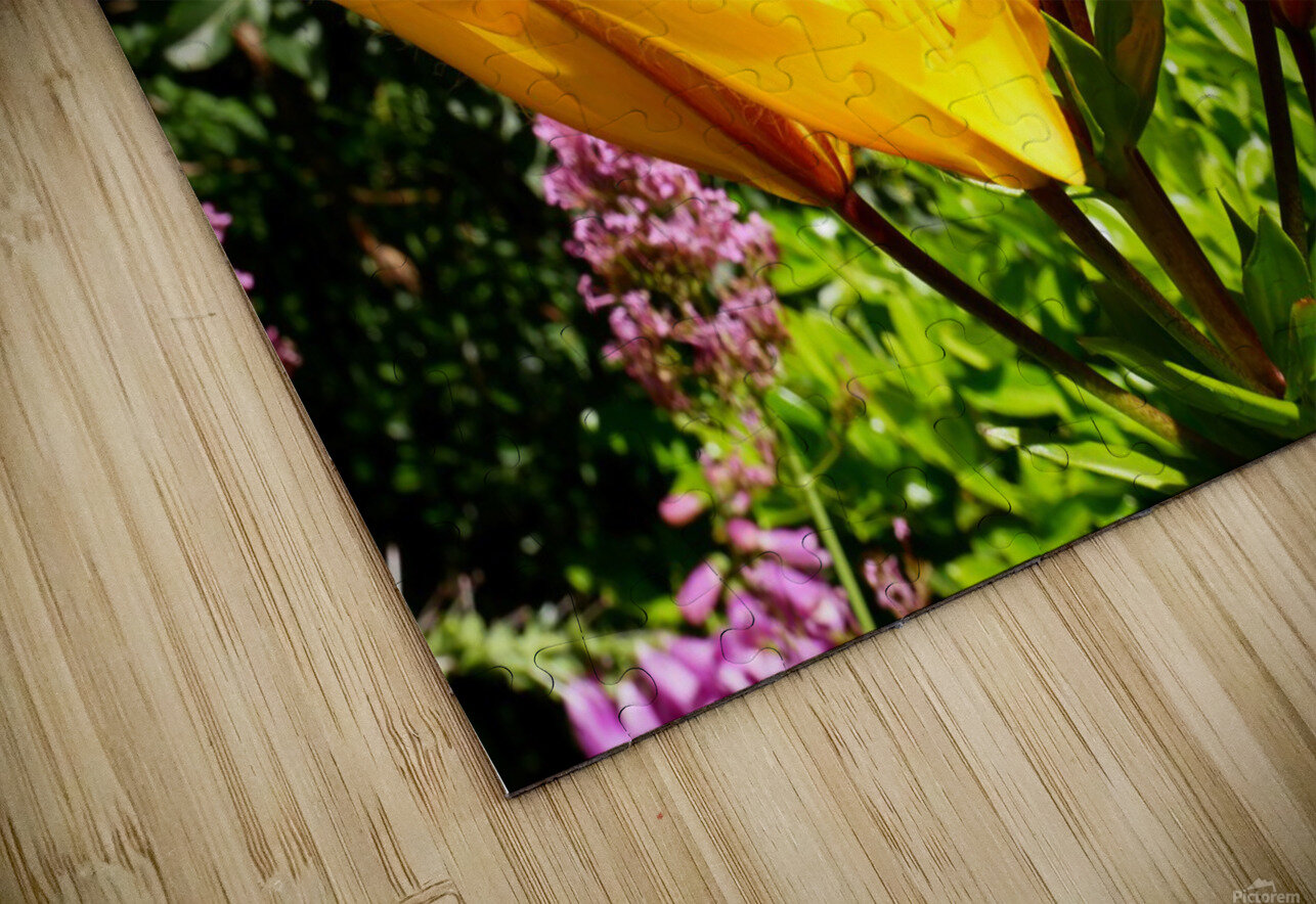 Bursting Beauty Click4Pix Puzzle