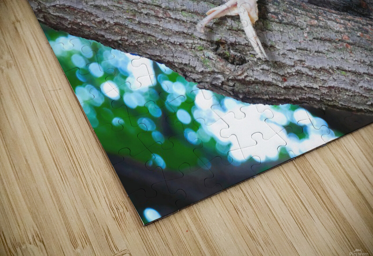 Yes I like Chicken Wings  Click4Pix Puzzle