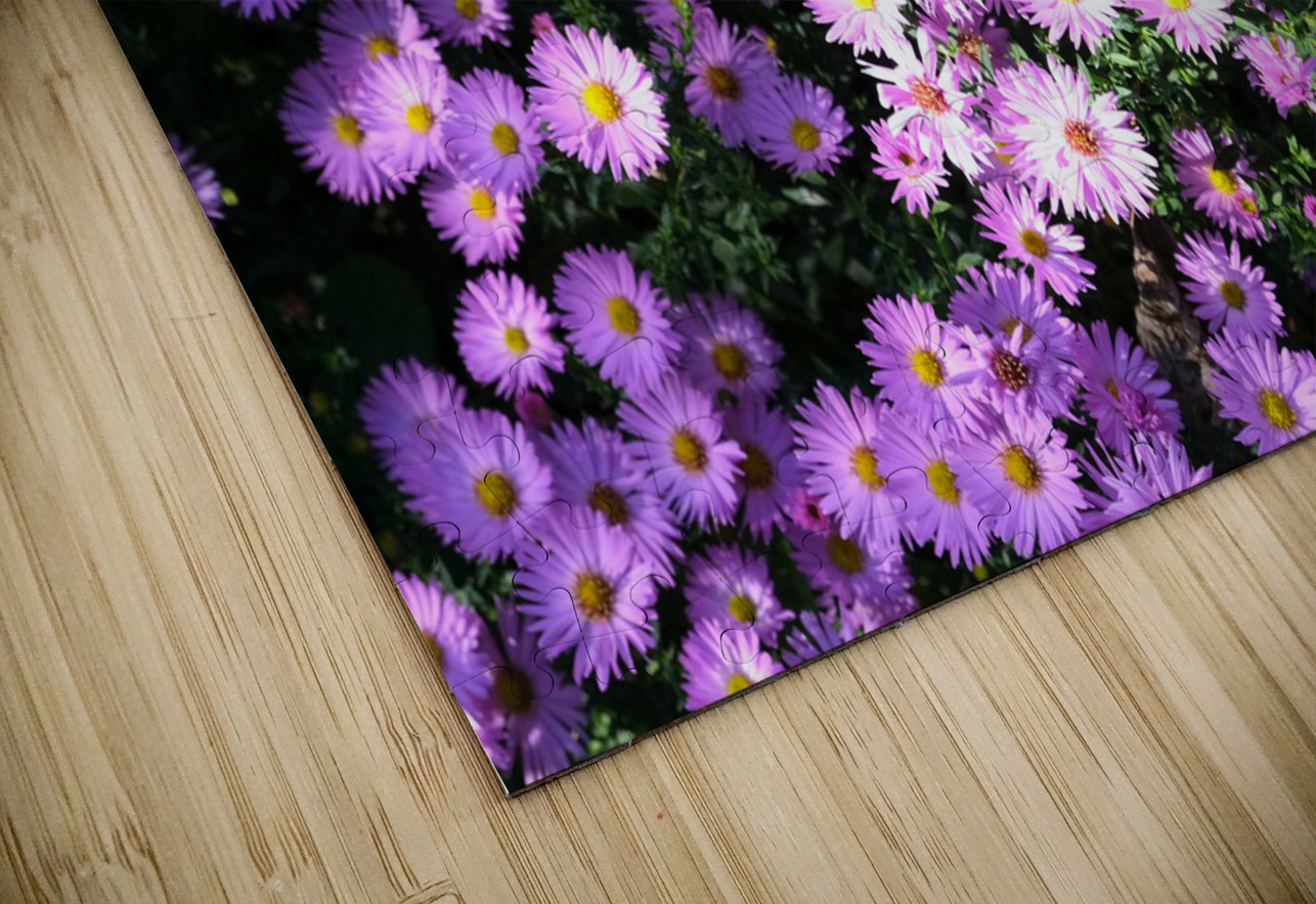 Pink Daisies 2 Click4Pix Puzzle