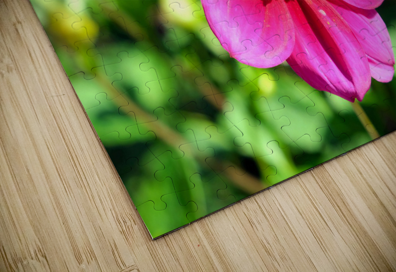 Flower Bloom 7 Click4Pix Puzzle