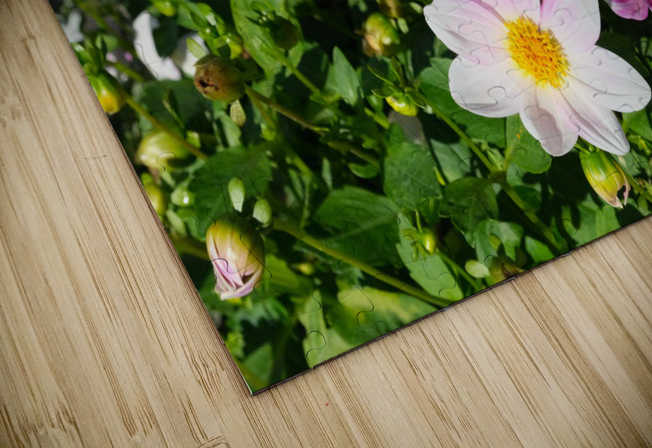 Blushing Petals  Click4Pix Puzzle