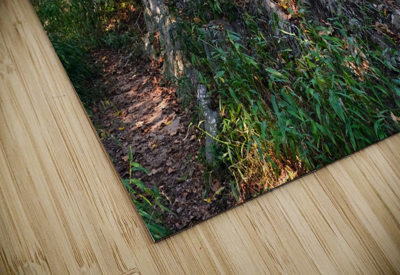 Just Rocking Life  Click4Pix Puzzle