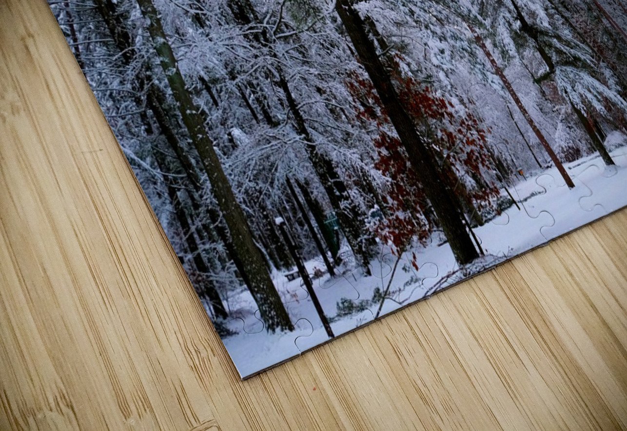 Winter Wonderland  Click4Pix Puzzle