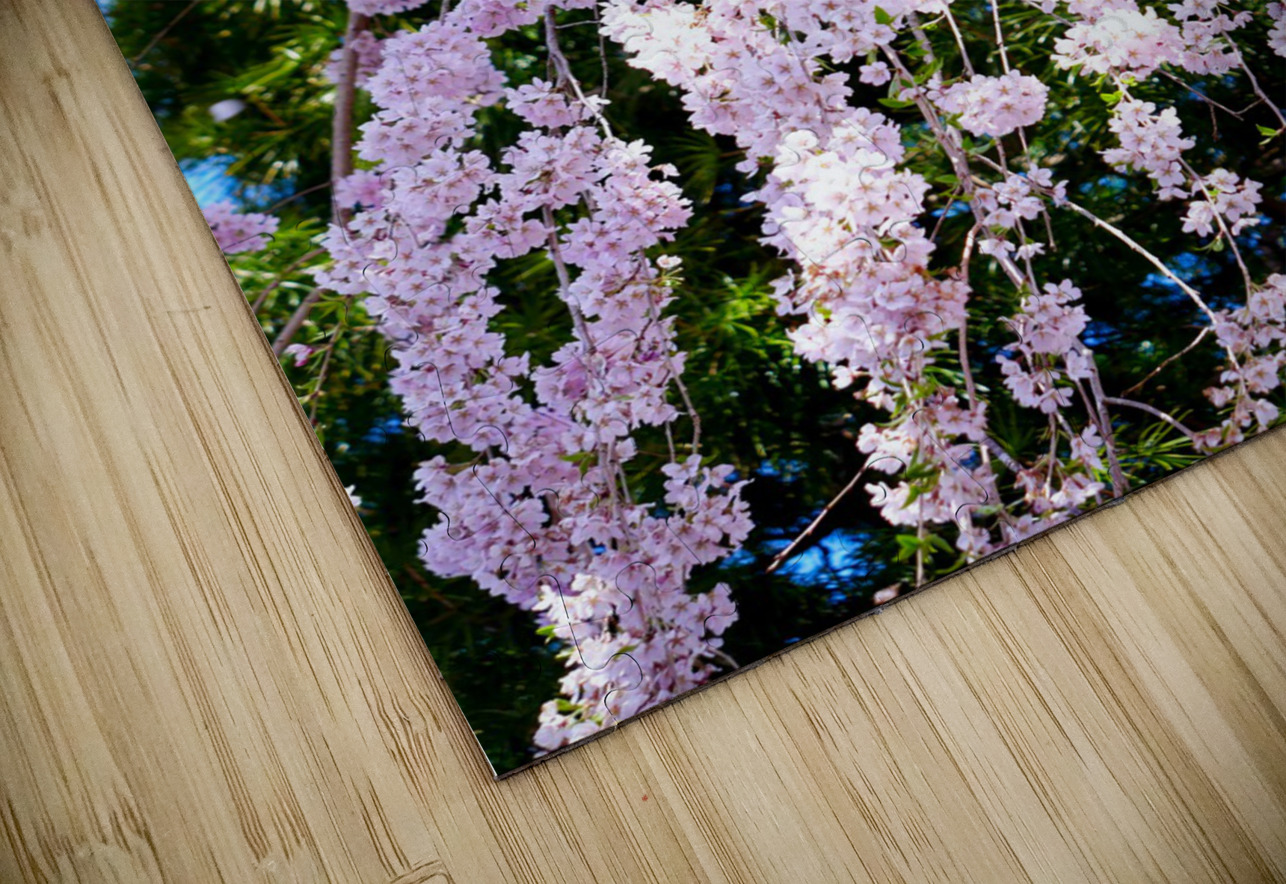Cherry Blossom 3B Click4Pix Puzzle