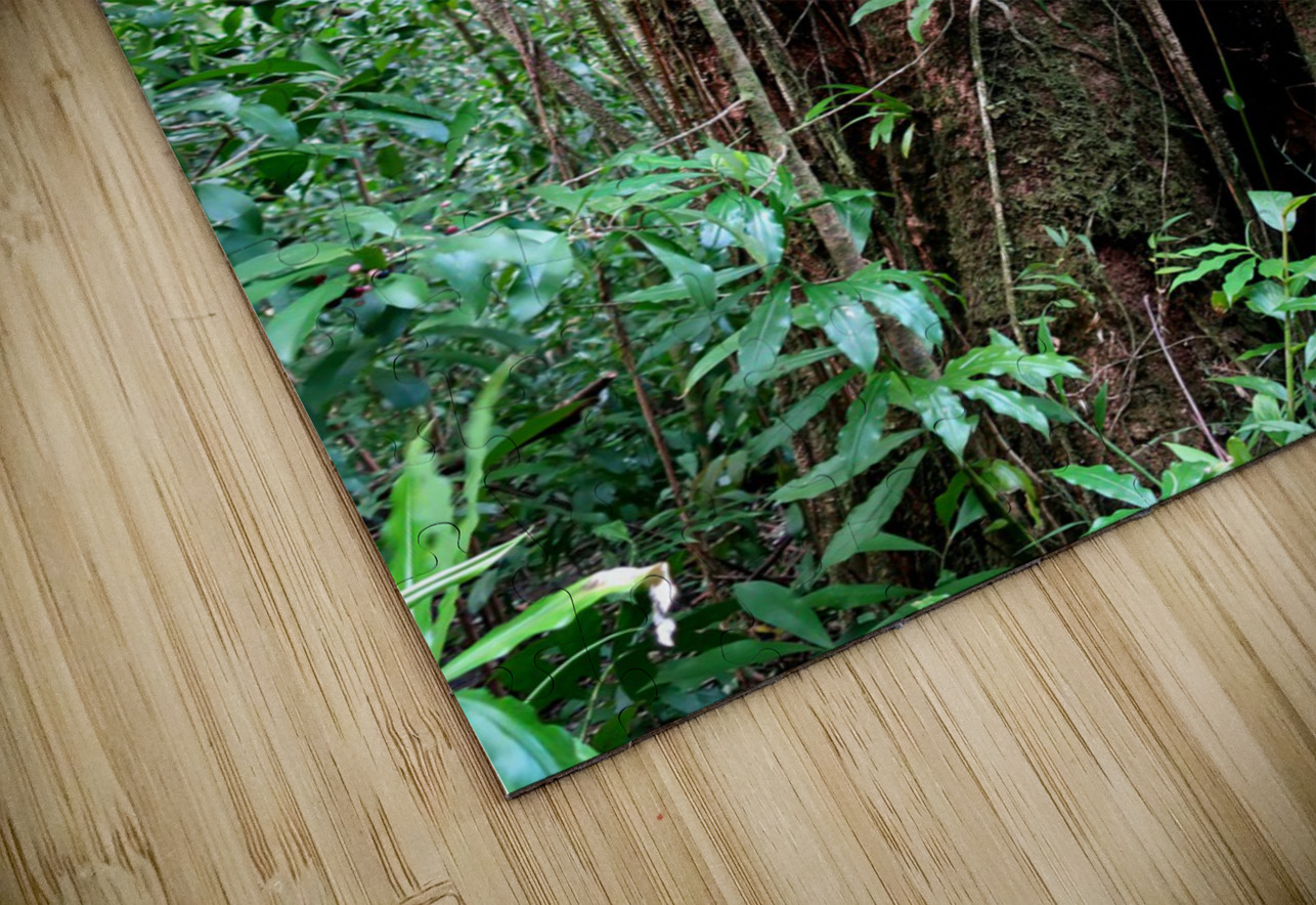 Hiking Hawaii 2 Click4Pix Puzzle