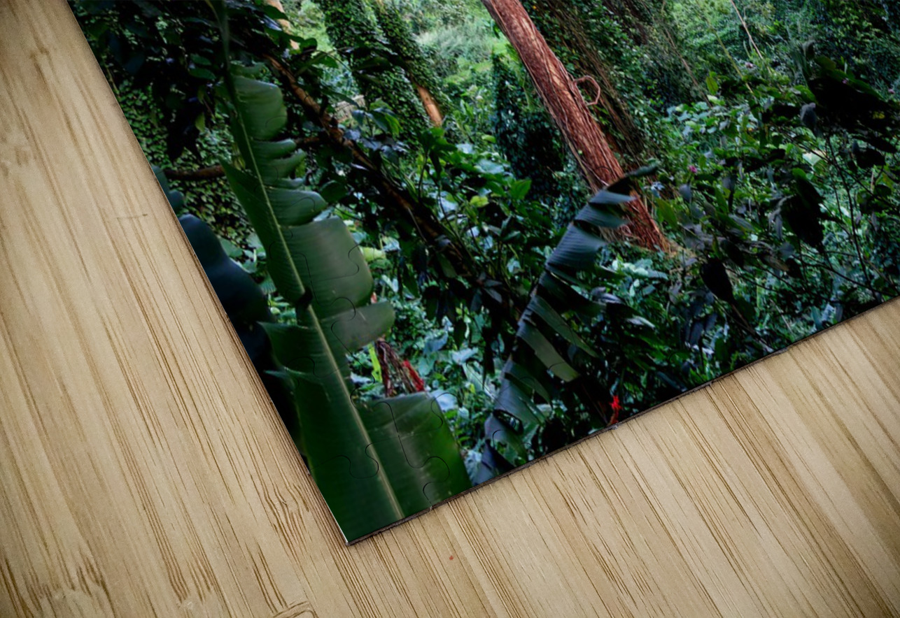 Welcome to Jurassic Park Click4Pix Puzzle