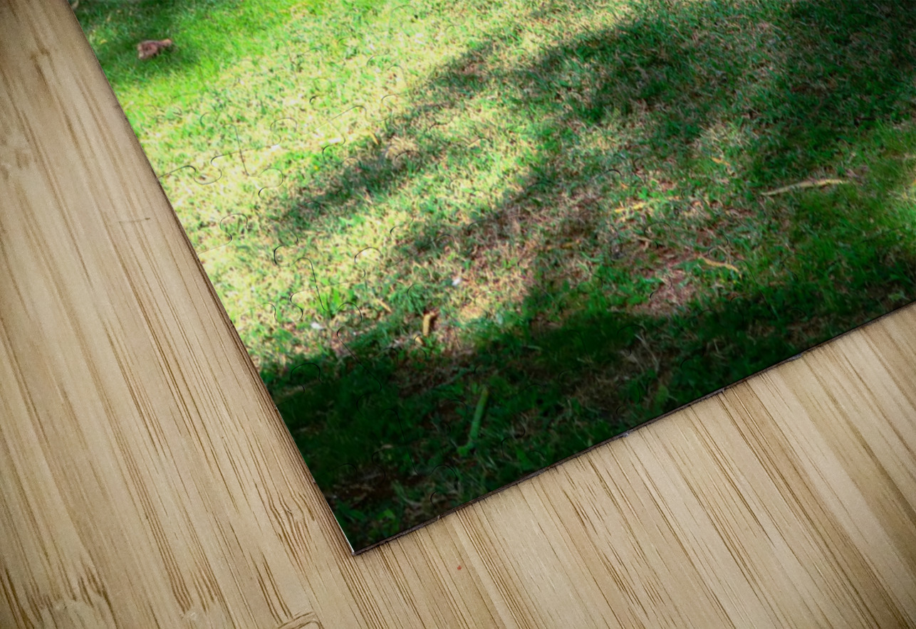 Cock in the Wild 2 Click4Pix Puzzle