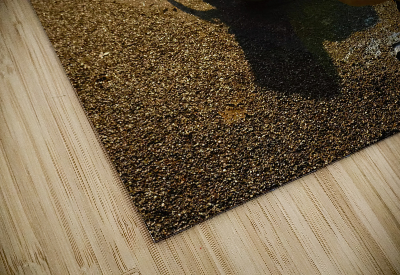 Swan Yoga Morning Stretch 3 Click4Pix Puzzle