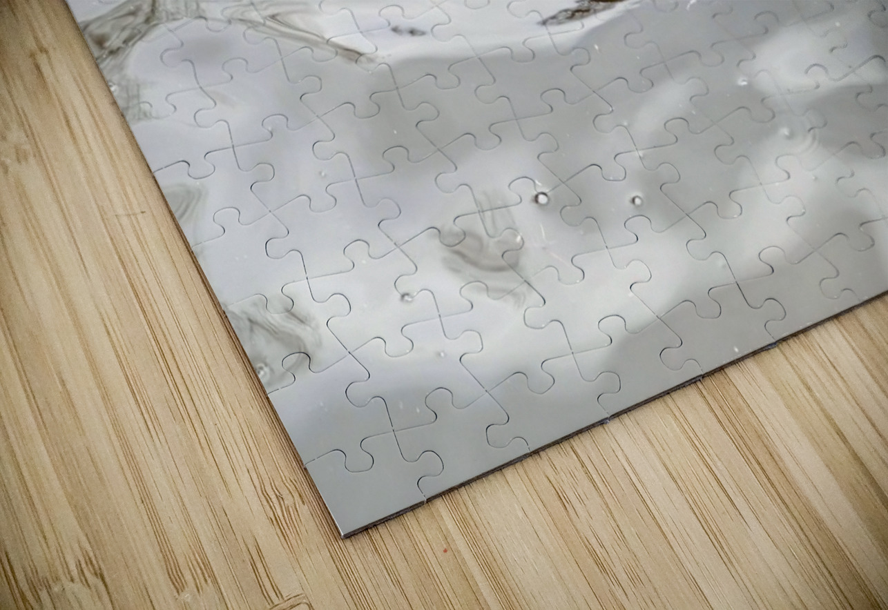 Only The Lonely Loon Click4Pix Puzzle